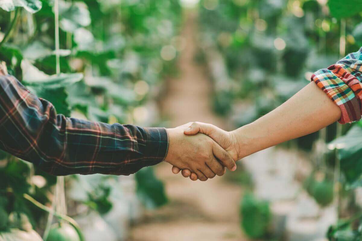 Handshake in a crop field. 