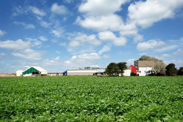 Crop Insurance