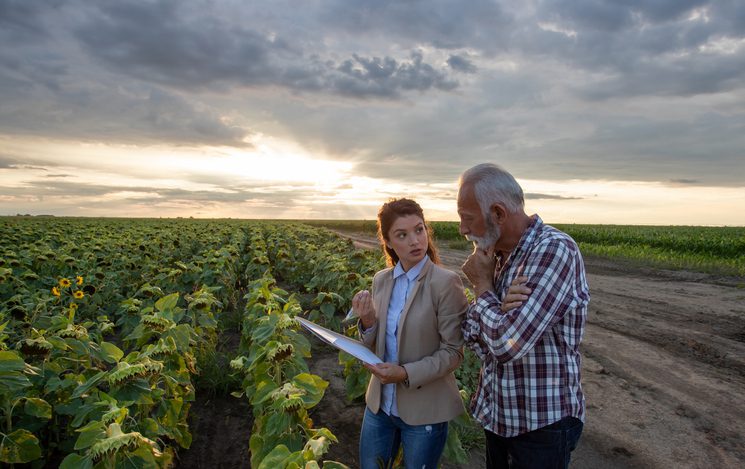 Business woman and farmer reading documents in field