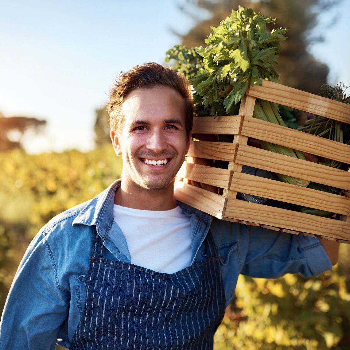 Agriculture, portrait and mockup with a farm man carrying a basket during the harvest season for sustainability. Agricultural, nature and mock up with a male farmer working outdoor in the countryside